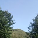 솔향가득서울캠핑장 이미지