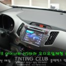 제이와이NS