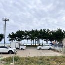 카시스 | 포항 월포해수욕장 가성비 독채풀빌라 ｜ 카시스 풀빌라 솔직 후기