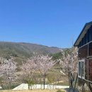 대곡리끄티집 이미지