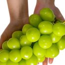 해성농장 이미지