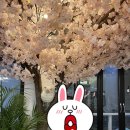 보물선횟집&카페2964