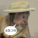 후쿠오카 여행기 진짜 최종.4탄