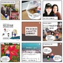 중고명품엘림 | 제주 소상공인 잘한다~마케팅 총정리~