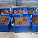 진3리 경로당 이미지