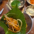 갈마칼국수 | 갈마역 쭈꾸미맛집 소담칼국수쭈꾸미대전둔산본점 내돈내산 후기