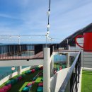 더마레 104 이미지