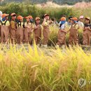 신평리 연합뉴스