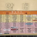 월드크리닝사파