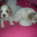 (주)신동무선 이미지