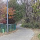 온수도시자연공원(지양산 둘레길) 이미지