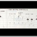 봉돌과 채비 그리고 환경 이미지