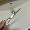 서부면허시험장 버스정류장(14-110) | 벌써 2024 반절이 지나갔다니