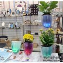 삼성동-22 이미지