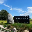 금호강영천 이미지