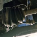 자동차주치의 닥터윤 이미지