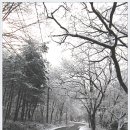 화암사 가는길 이미지