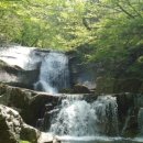 방태산황토펜션식당 이미지