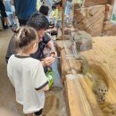 제주신화월드행복공작소 | 동물 좋아하는 아이들과👨‍👩‍👧‍👦 모모쥬 동물원 (제주신화 월드점) 갔다 온 후기