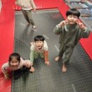 하나린태권도 이미지