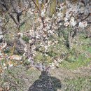 대호사우나 | 단양대호CC 골프장 실제 라운딩 후기 그린피 및 부대시설 꼼꼼 리뷰 9월 9일