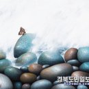금오산로-11 경북도민일보