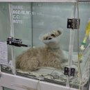 해피산소방
