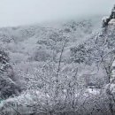 유창농장 이미지