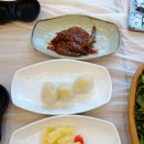 [속초맛집] 내돈내산 *애견동반* 가능한 장소위주의 솔직 여행 후기! 속초대포항횟집 대포리