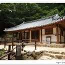 백제의 미소 티스토리