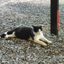 정성 운동화 빨래방 이미지