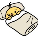 감성피티 이미지