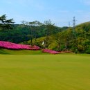 이스트힐골프장 이미지