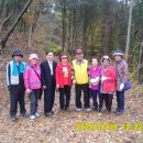 리버샤인빌리지 이미지