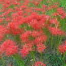 해남공원 이미지