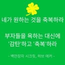 더스위티과일