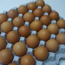 안일농장 이미지