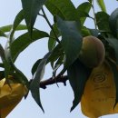 잘크는농장 이미지