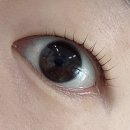 원흥제2주유소 | 원흥속눈썹 브로우인에서 클리닉속눈썹펌 받고 온 솔직후기