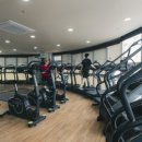 고구마 휘트니스 이미지