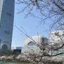 석촌호수 서호(카페 앞) | 내돈내산 석촌호수 맛있는 브런치 카페 드로잉 후기