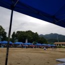 살로메식당