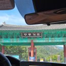 삼화지하수 - 진안군 | 강릉 1박 2일 여행 코스 추천｜여름 피서지 무릉계곡 & 무릉 오선녀탕(계곡 수영장) 운영 정보 및 후기