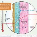 벽체 이슬점 다이아그램 이미지