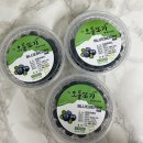 국내산 생블루베리 추천! 알이 굵은 제주산 생블루베리 오돌또기 블루베리 택배 배송 후기