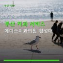 부산 치과 서비스 메디스치과의원 경성대 저렴한 임플란트 이벤트 진행 중
