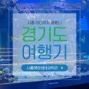 해양생태전시관 | 시흥 아이와 가볼만한 곳｜시흥해양생태과학관 솔직 후기 + 꿀팁