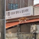 삼춘세탁소 이미지