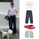 캐피탈로지 | 차정원 여름 패션 & 강아지 하네스 자켓