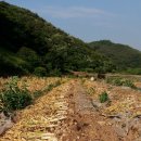 운호농장 이미지